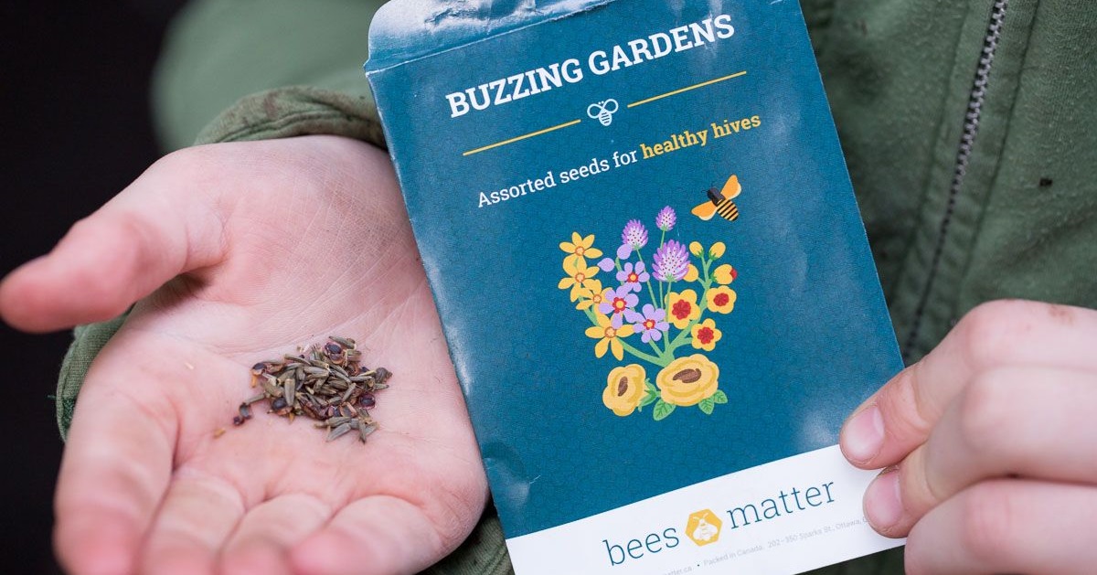 FREE Bees Matter Seed Kit (5 flower species) Get me FREE Samples