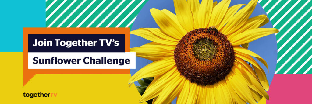 Free Sunflower Seeds Together TV Challenge UK
