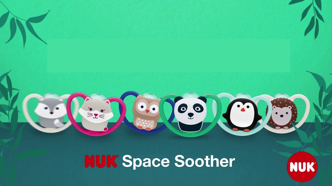 nuk space soother sample