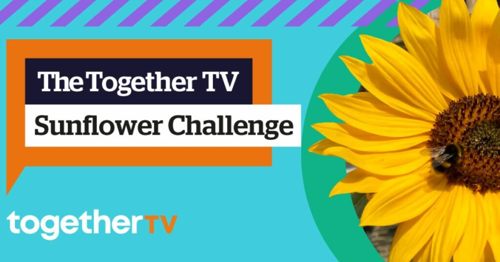 Free Sunflower Seeds Together TV Challenge UK