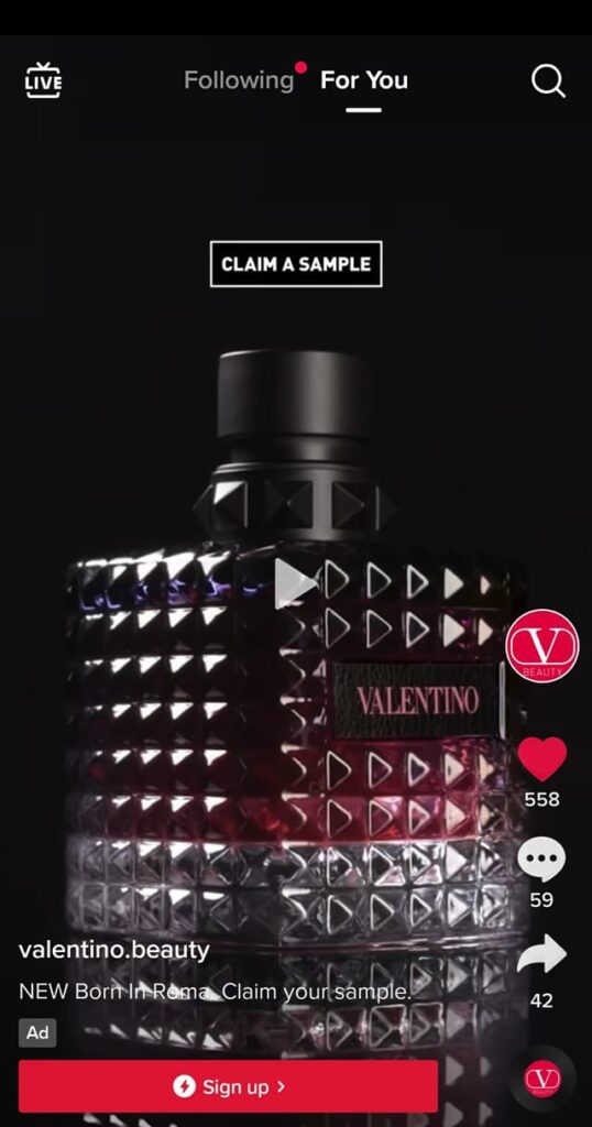Valentino Born in Roma sample TikTok ad