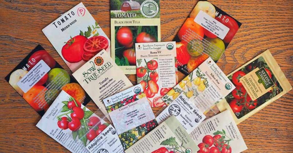Free packets of Tomato Seeds