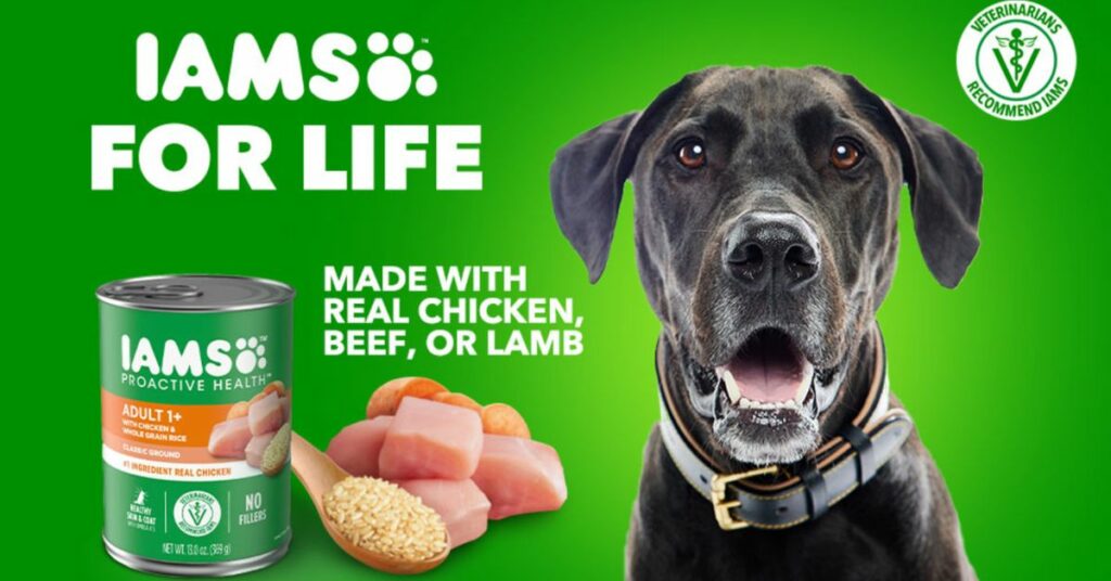 IAMS PROACTIVE HEALTH Wet Dog Food Samples