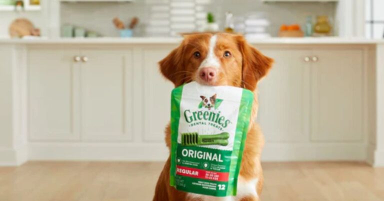Greenies Dental Chews Sample Pack