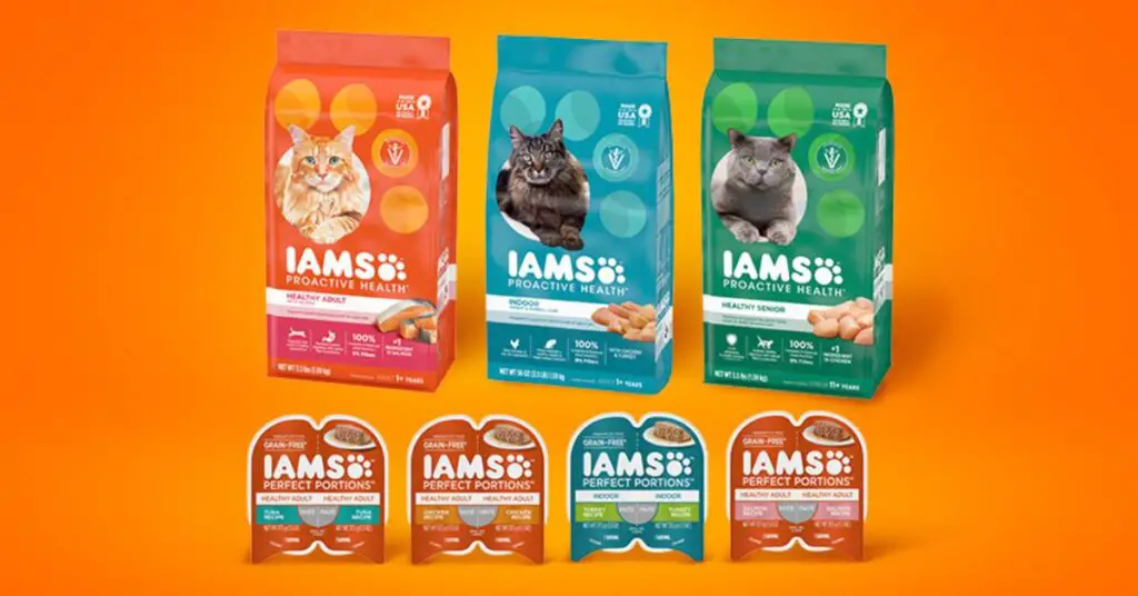 IAMS Kitten Dry Food Sample