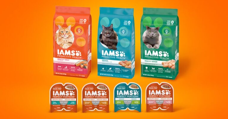 IAMS Kitten Dry Food Sample